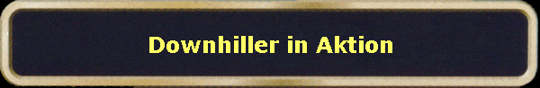Downhiller in Aktion